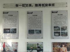 -盐城丹顶鹤湿地生态旅游区