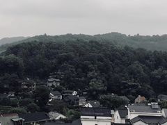 -龙井村