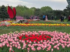 -石家庄市植物园