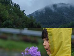 -牛背梁国家森林公园