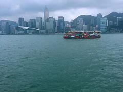 -富豪雪糕车流动点(尖沙咀店)