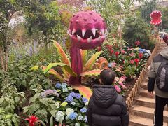 -沈阳植物园