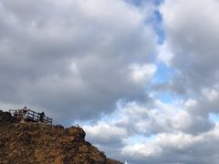 -涉地可支