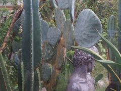 -Jo's Garden