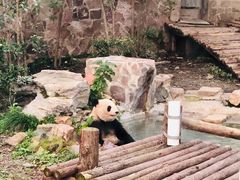 -上海动物园(地铁站)