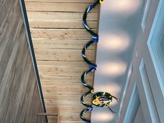 -宝莱纳餐厅(滨江店)