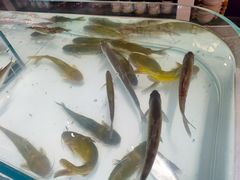 -恒生商业广场(上丰店)