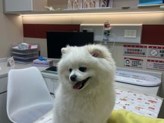 -御宝贝24h宠物医院·转诊中心·CT核磁血透中心(厦门总院)