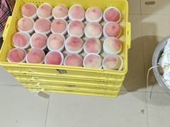 -老袁家蜜桃农场·阳山水蜜桃