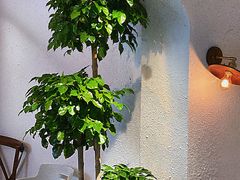 -Miss Q Family甜品·蛋糕·法甜咖啡