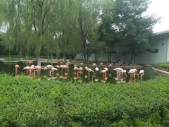 -石家庄市动物园