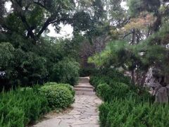 -大雁塔北广场音乐喷泉