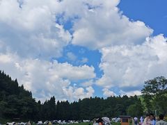 -武陵山森林公园