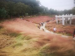 -牛岗山公园