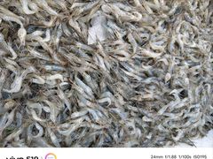 -丹水桥地锅鱼·翘嘴鲌·地方特色全鱼宴(丹江口大坝店)