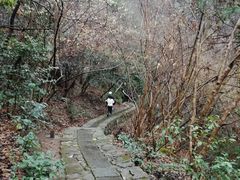 -千岛湖石林