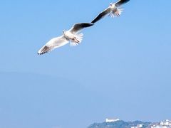 -大理洱海