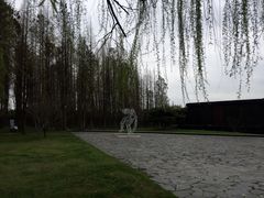 -同里国家湿地公园