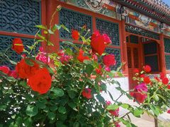 -元大都城垣遗址公园