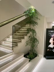 -普洛蒂亚·科技美肤中心