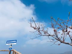 -金龙寺国家森林公园