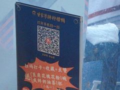 -甘家界牌柠檬鸭(青山店)