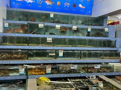 -锐记美食店·现捞海鲜(闸坡店)