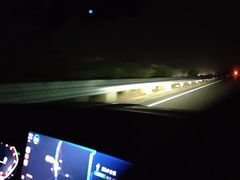 -东郊椰林