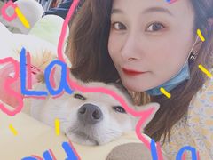 -逗柴咖啡屋·狗咖猫咖宠物桌游