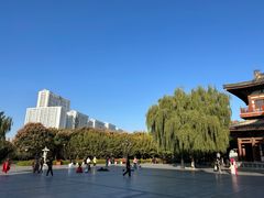 -西安乐游原