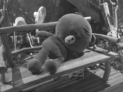 -渔太泰漓江小馆·广西融合菜(西街店)