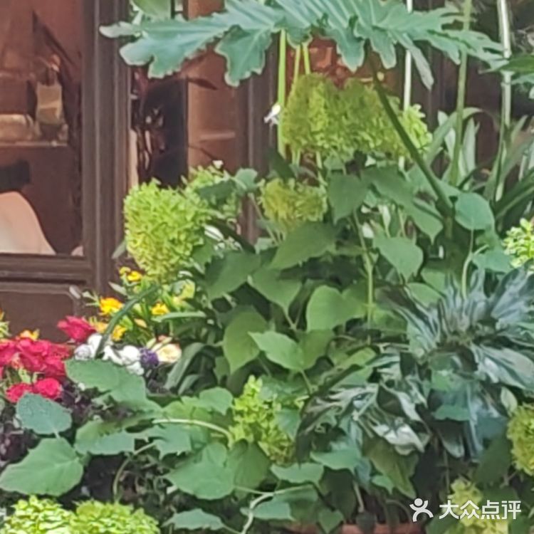 丽江古城屋顶咖啡