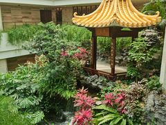 -广州白天鹅宾馆