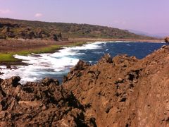 龙坑生态保护区-龙坑生态保护区