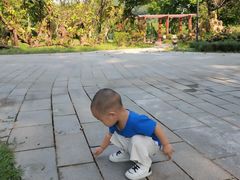 -东莞植物园