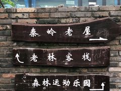 -牛背梁国家森林公园
