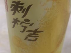 -源港渔村-中山脆肉鲩(博罗店)