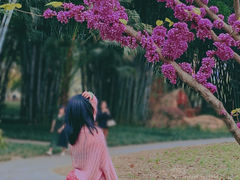 -望江楼公园