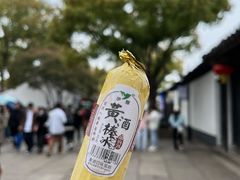 -绍兴鲁迅故里·沈园景区