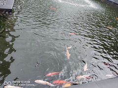 -太子园林酒家