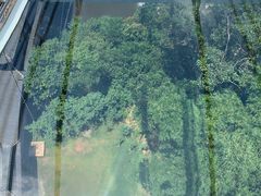 -客天下恐龙水晶玻璃桥