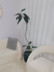 点击看大图 -宝妈港湾·妙初产后恢复(西局店)