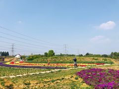 -紫颐香薰山谷景区