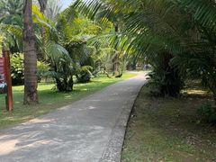 -中国科学院西双版纳热带植物园