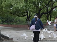 -上海交通大学(闵行校区)