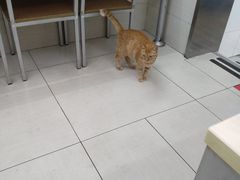 -玉华饮食店(茅台路店)