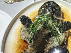 -万龙洲海鲜(南新仓店)