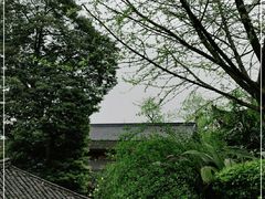 -峨眉山报国寺