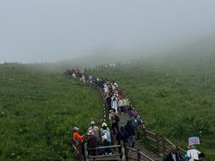 -新疆那拉提国家旅游度假区