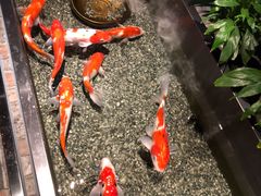 -0776食堂·京城创意菜(七里庄店)